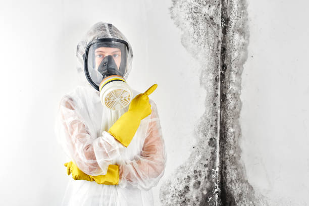 Best Forensic Mold Investigation in USA